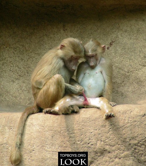 啊！不要乱摸~~~~211 / 作者:桂鱼 / 帖子ID:20002