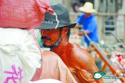 武汉“板车哥”露6块完美腹肌878 / 作者:裙角飞扬 / 帖子ID:20041