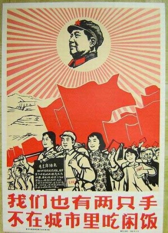 如果这些受苦的人是你的亲人625 / 作者:桂鱼 / 帖子ID:20101