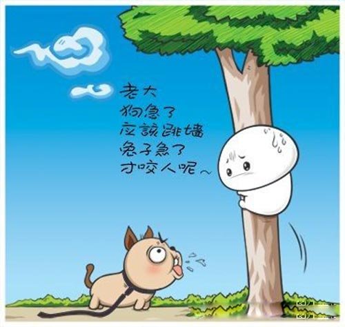 我只发图看看  嘿嘿。。。。。。。。。。。553 / 作者:放牛娃崽 / 帖子ID:20179