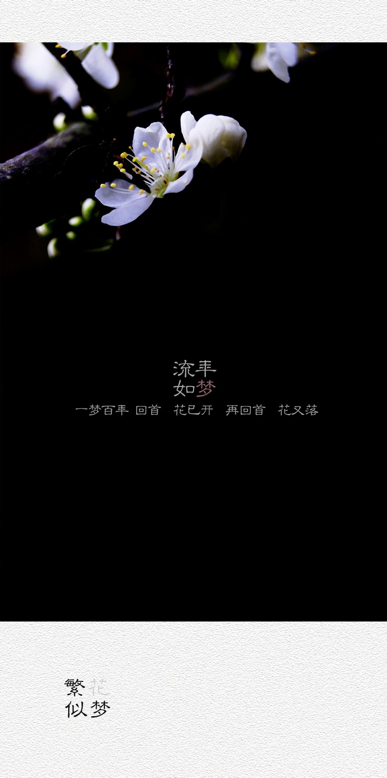 繁花似梦（四）862 / 作者:195 / 帖子ID:20260