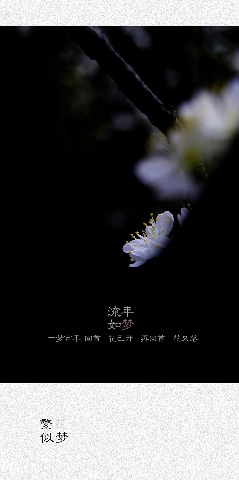 繁花似梦（四）125 / 作者:195 / 帖子ID:20260