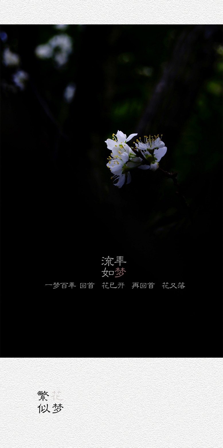 繁花似梦（四）368 / 作者:195 / 帖子ID:20260