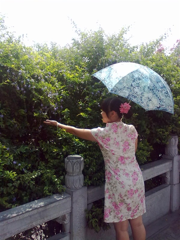 姐曾经也瘦过923 / 作者:彼岸行走的花 / 帖子ID:20275