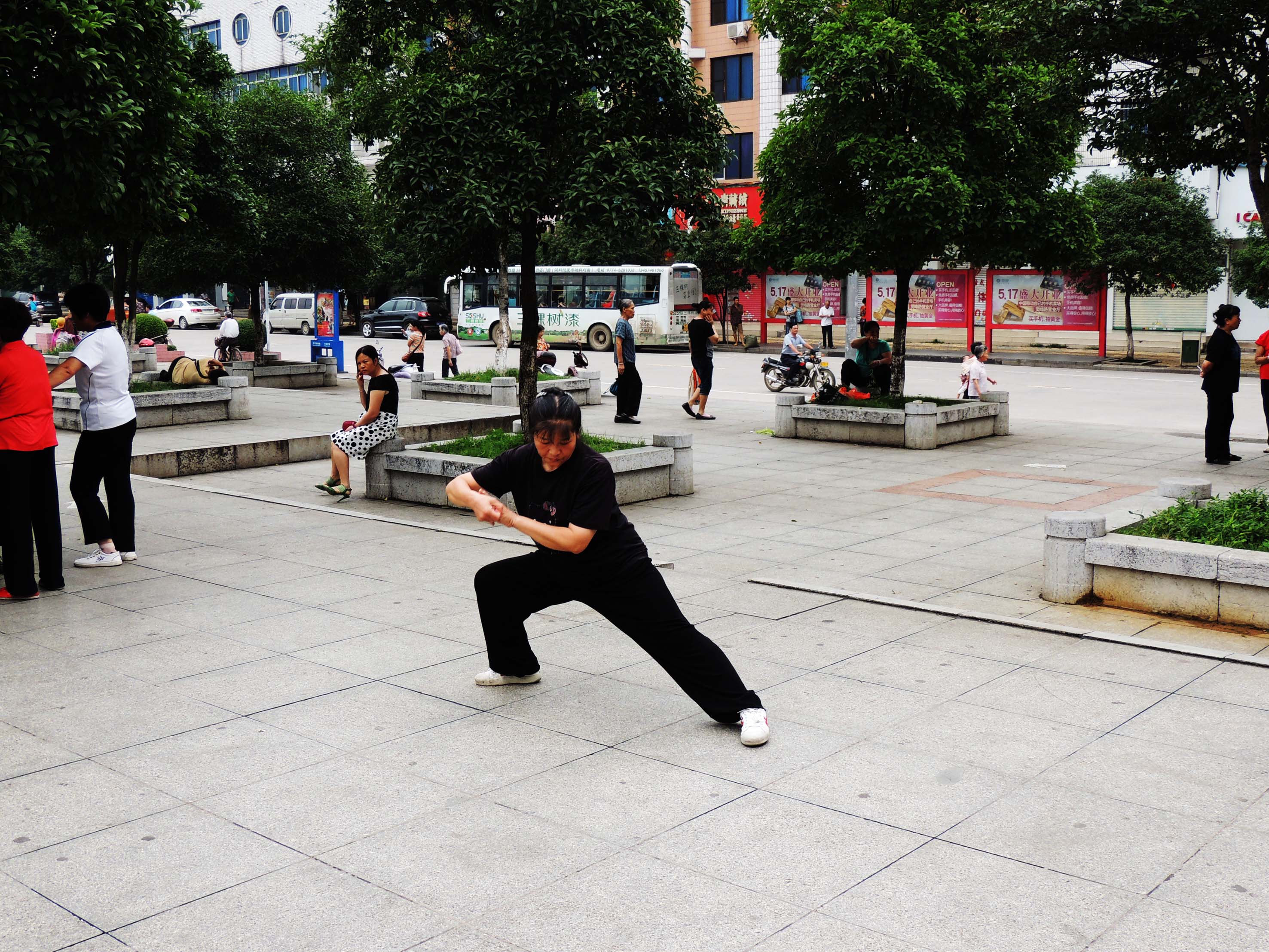 这套是否木兰拳？117 / 作者:天涯孤独客 / 帖子ID:20315