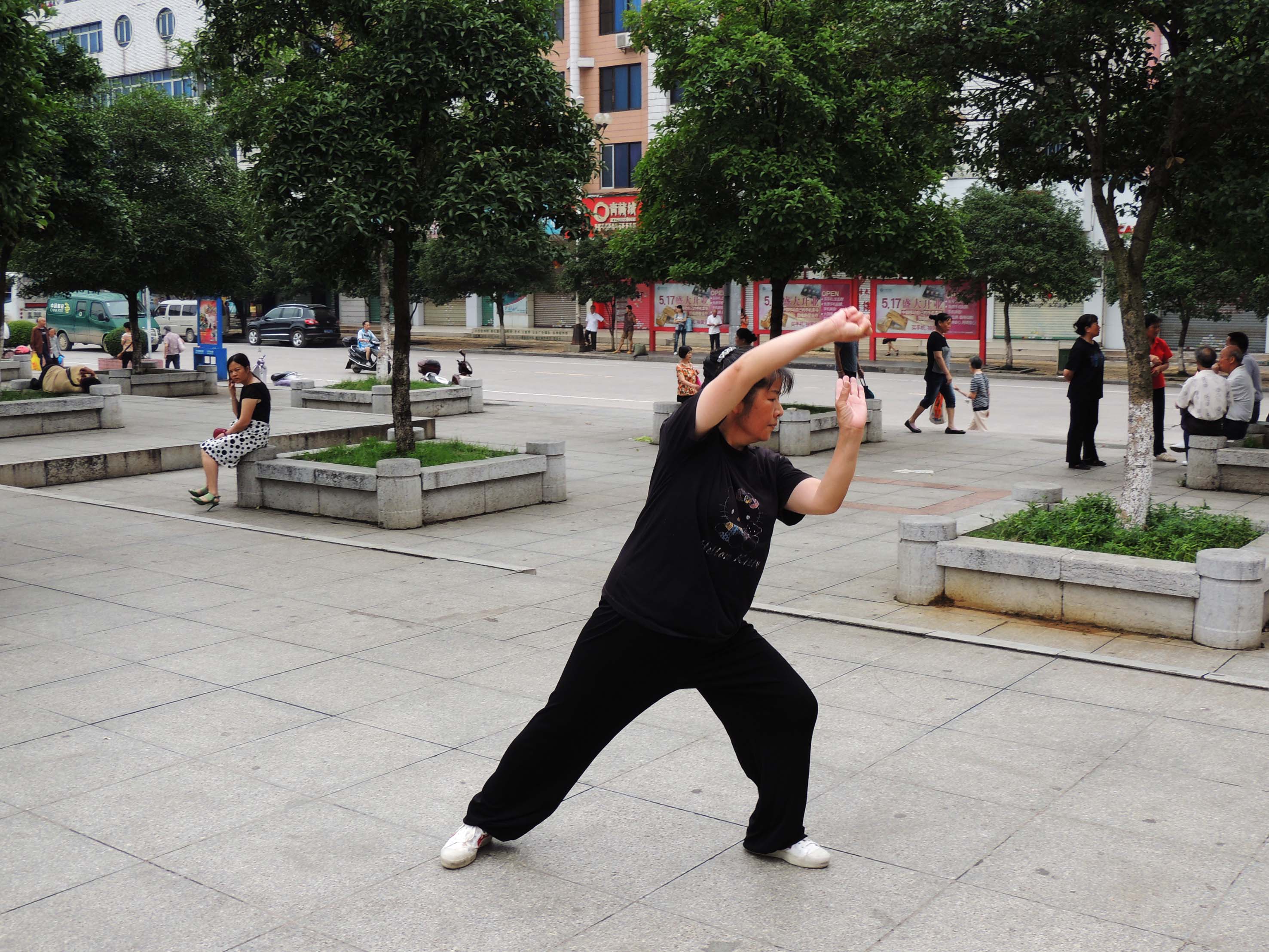 这套是否木兰拳？626 / 作者:天涯孤独客 / 帖子ID:20315