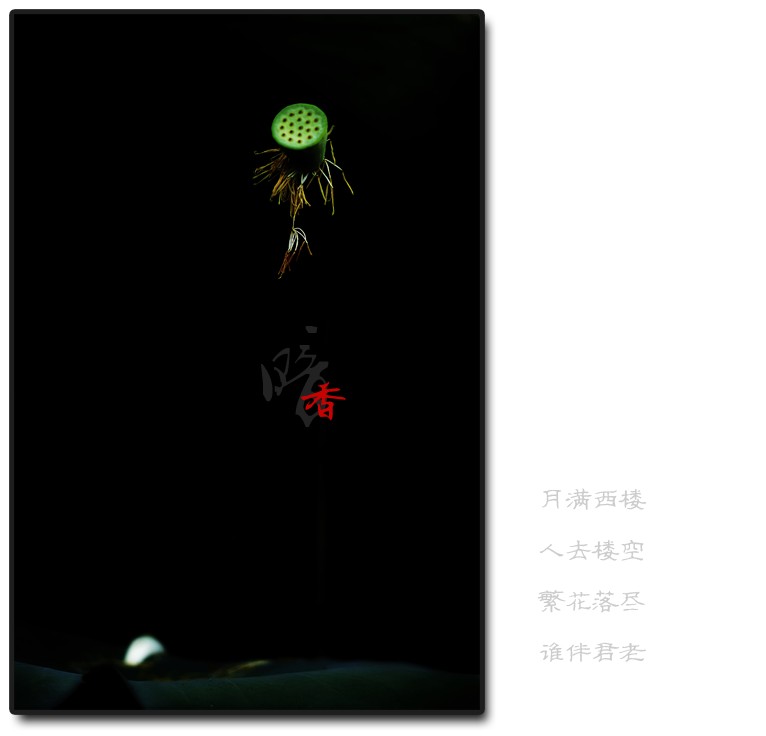 暗香（二）526 / 作者:195 / 帖子ID:20422