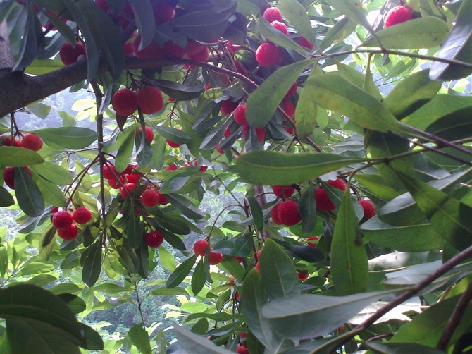 你懂的。。474 / 作者:乐乐 / 帖子ID:20441