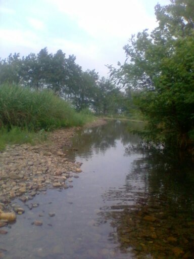 野炊随拍271 / 作者:不需要人懂 / 帖子ID:20545