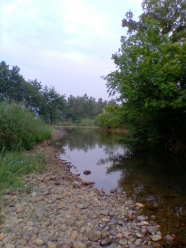 野炊随拍660 / 作者:不需要人懂 / 帖子ID:20545