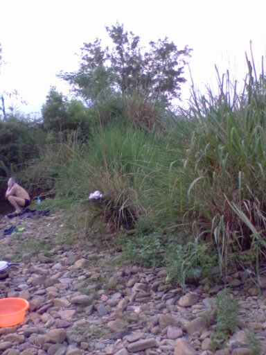 野炊随拍591 / 作者:不需要人懂 / 帖子ID:20545