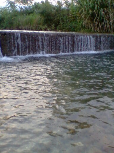 野炊随拍864 / 作者:不需要人懂 / 帖子ID:20545