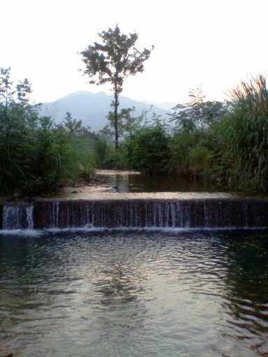 野炊随拍619 / 作者:不需要人懂 / 帖子ID:20545