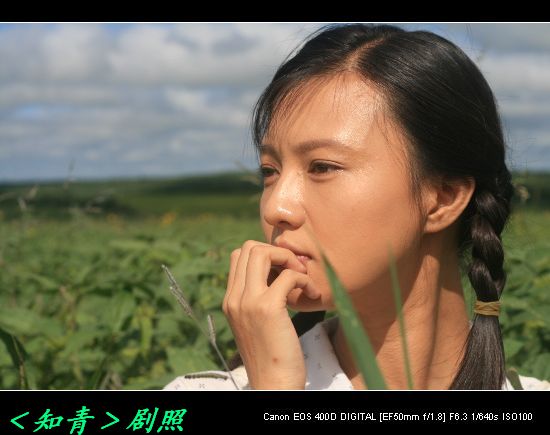 “可以教育好子女”奖。14 / 作者:平安大叔 / 帖子ID:20554