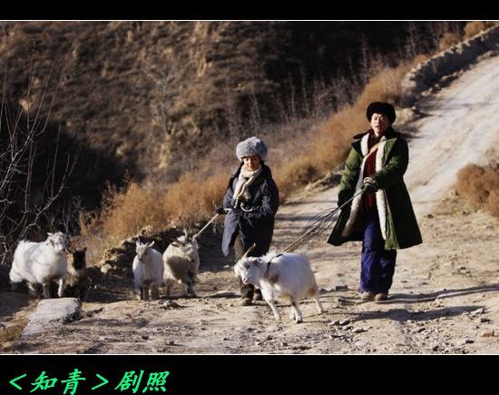 “可以教育好子女”奖。783 / 作者:平安大叔 / 帖子ID:20554