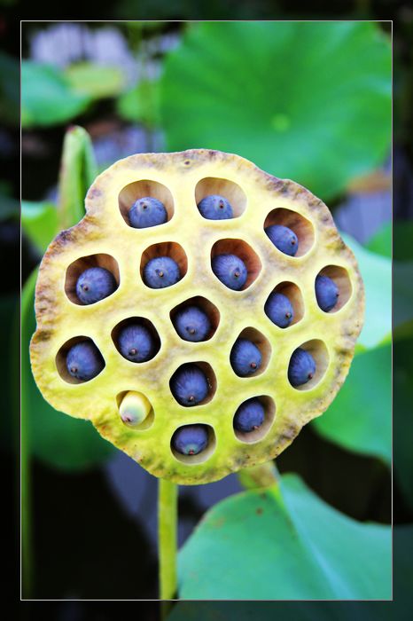 荷与车94 / 作者:探索者越野车队 / 帖子ID:20570