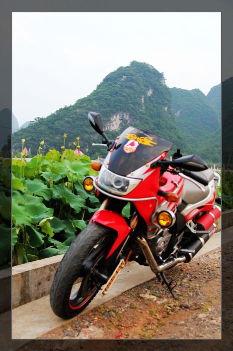 荷与车124 / 作者:探索者越野车队 / 帖子ID:20570