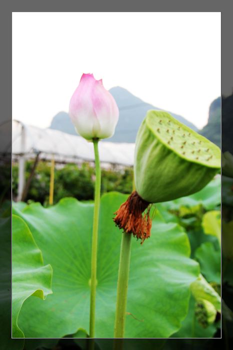 荷与车357 / 作者:探索者越野车队 / 帖子ID:20570