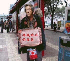 日本卖岛中国也卖岛＜转＞733 / 作者:桂鱼 / 帖子ID:20509