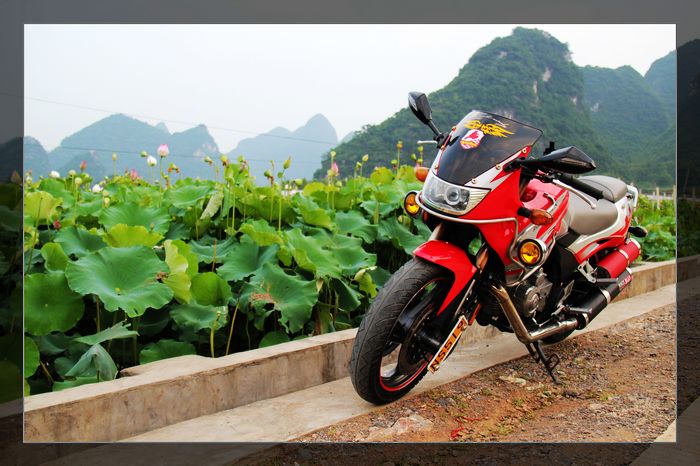 荷与车560 / 作者:探索者越野车队 / 帖子ID:20570