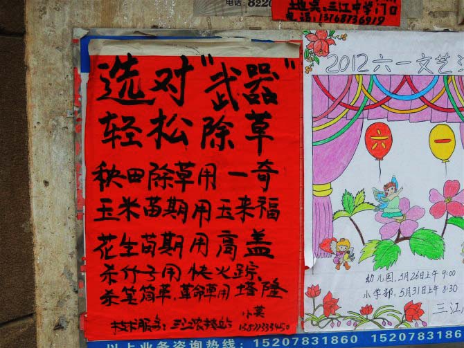 三江闲拍155 / 作者:天涯孤独客 / 帖子ID:20575
