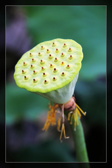 荷与车371 / 作者:探索者越野车队 / 帖子ID:20570