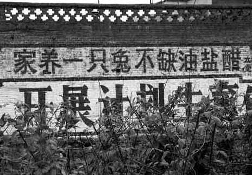 关于计生的一些宣传标语图片948 / 作者:十滴水 / 帖子ID:20576