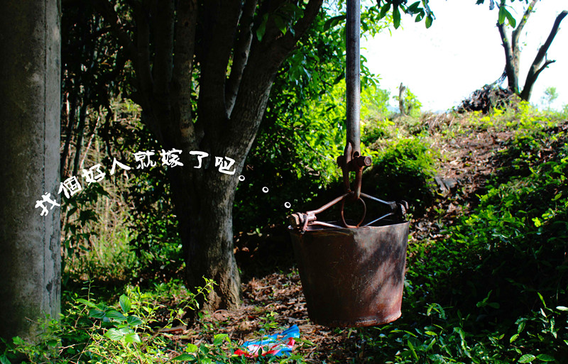 悲催，都嫁人了，哎。。。238 / 作者:小紫 / 帖子ID:20700