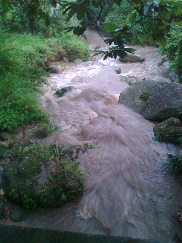 随拍64 / 作者:乐乐 / 帖子ID:20710