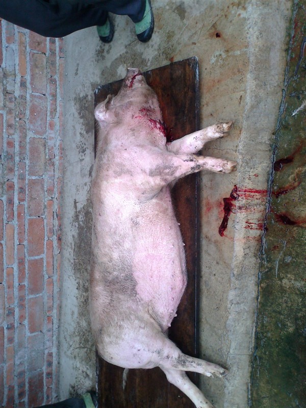 你的，死啦死啦的840 / 作者:乐乐 / 帖子ID:20733