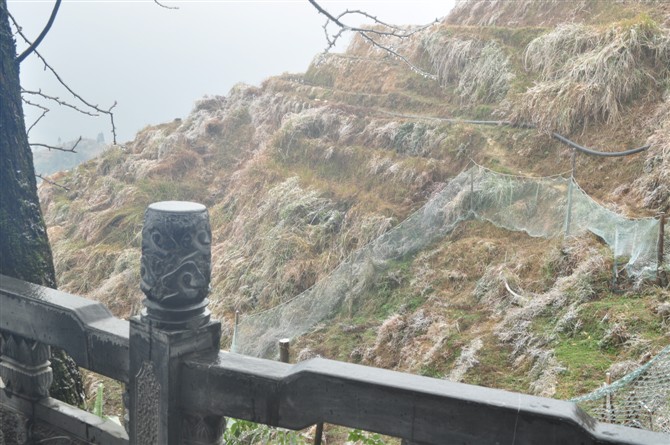 6月20号报的名，今天来报到了102 / 作者:点燃黄鹤楼 / 帖子ID:20753