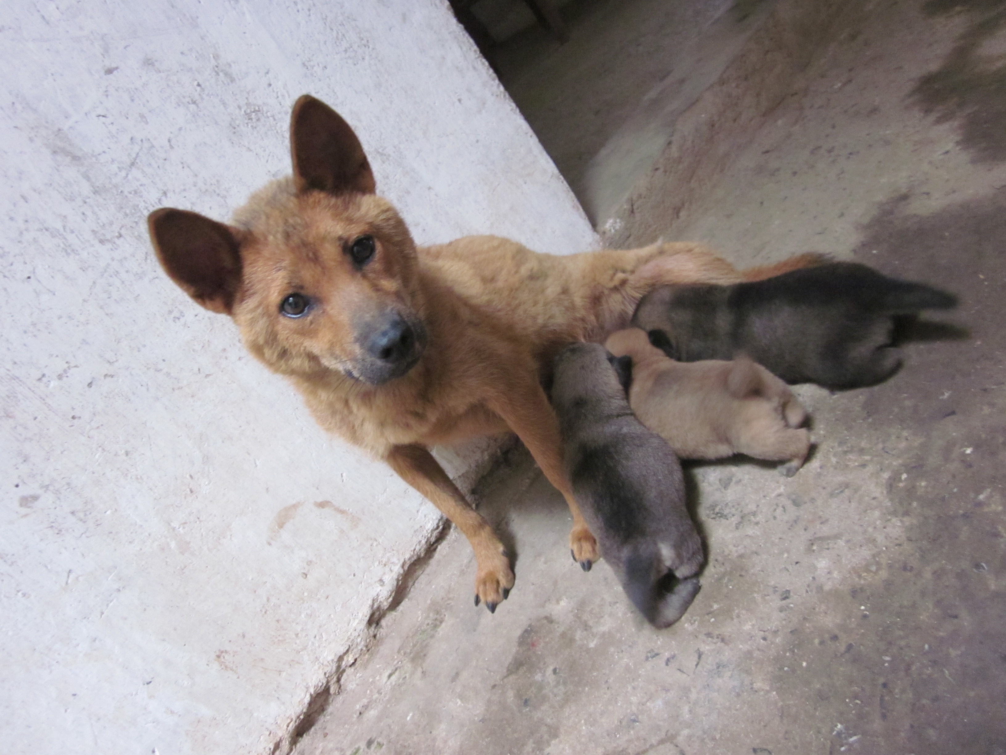 有点萌哦155 / 作者:么么崽 / 帖子ID:20819