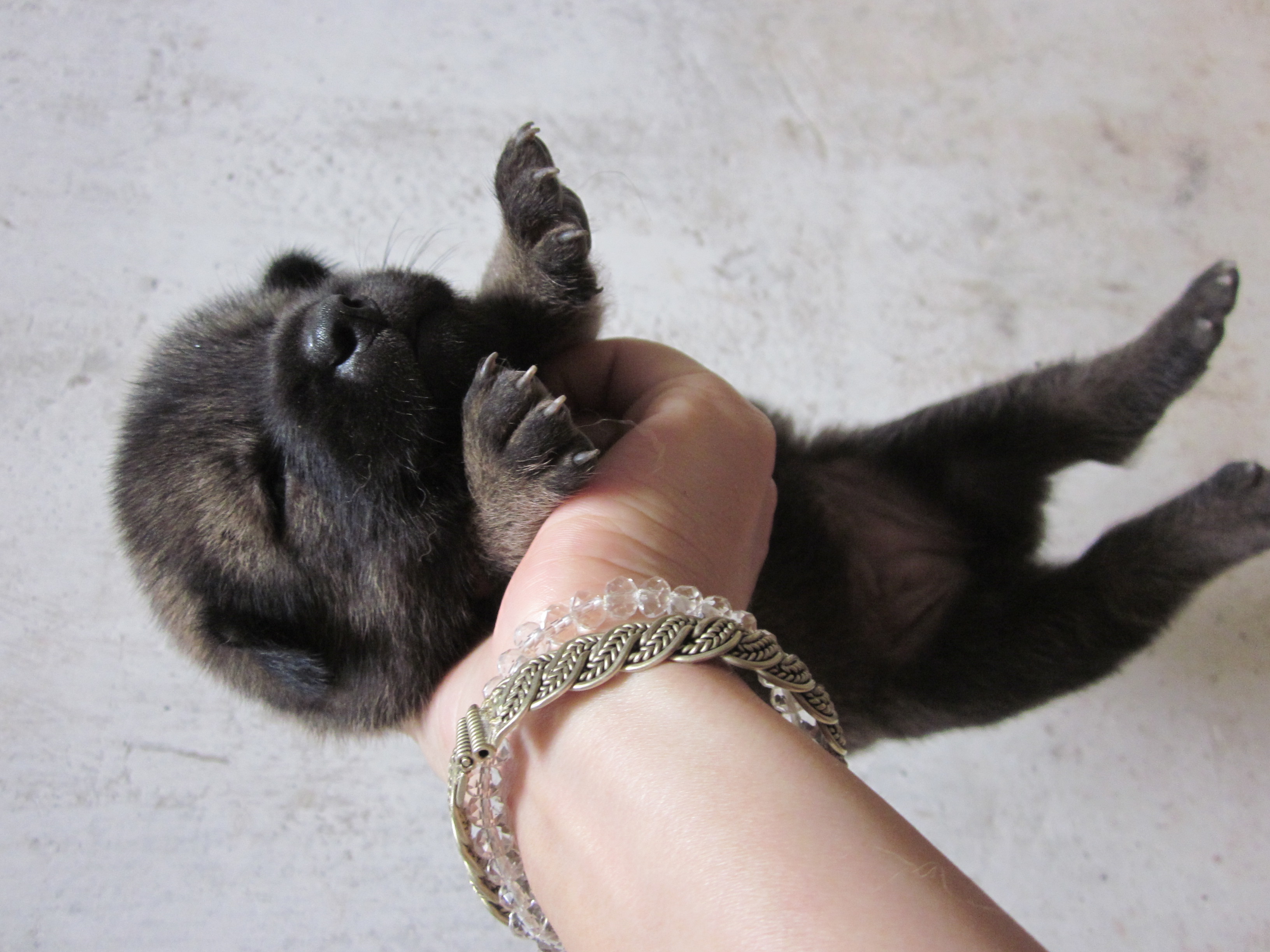 有点萌哦244 / 作者:么么崽 / 帖子ID:20819