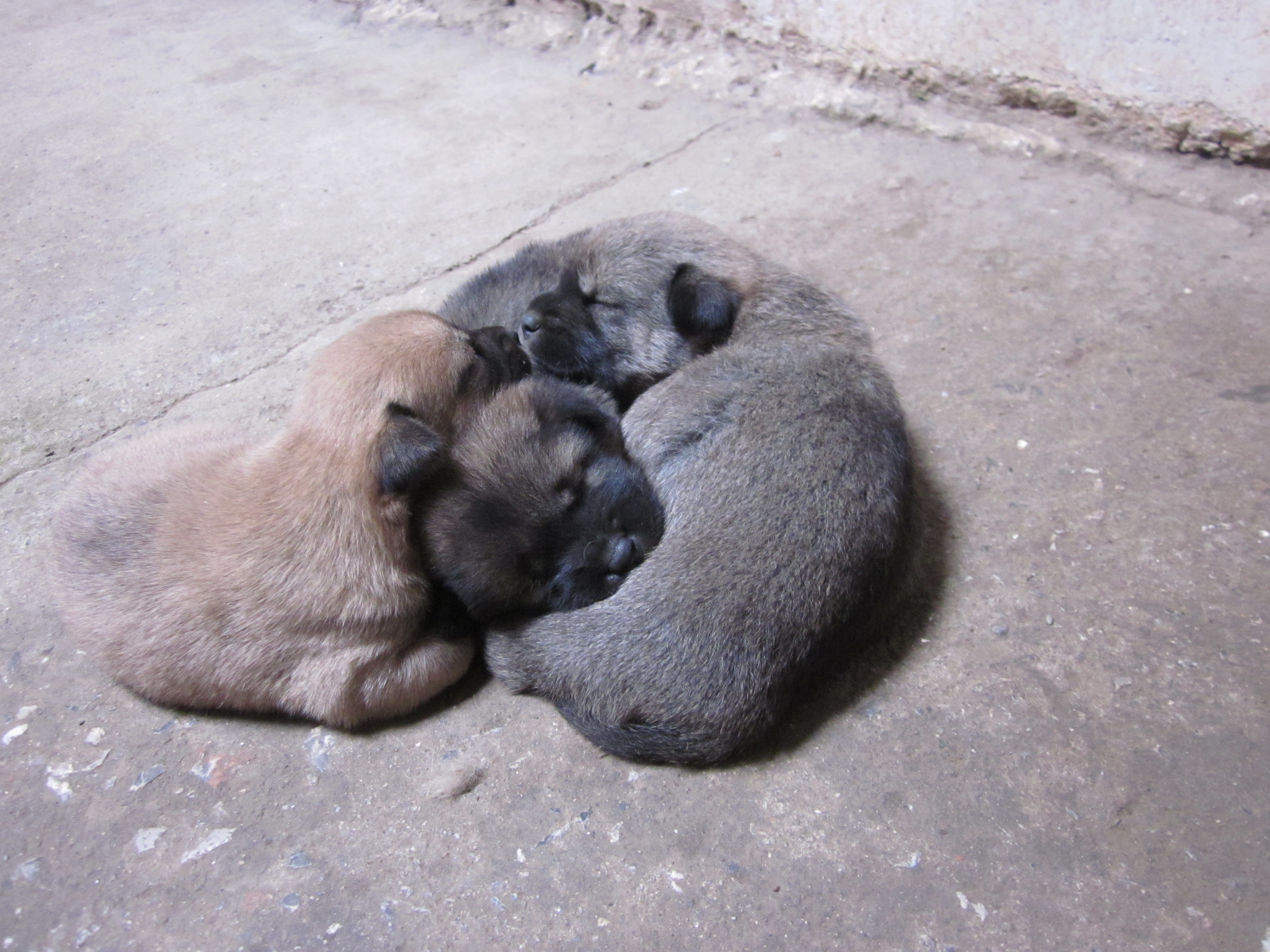 有点萌哦407 / 作者:么么崽 / 帖子ID:20819