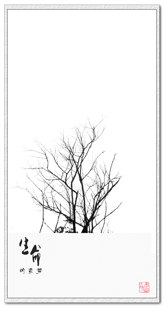 生命的姿势448 / 作者:195 / 帖子ID:20837