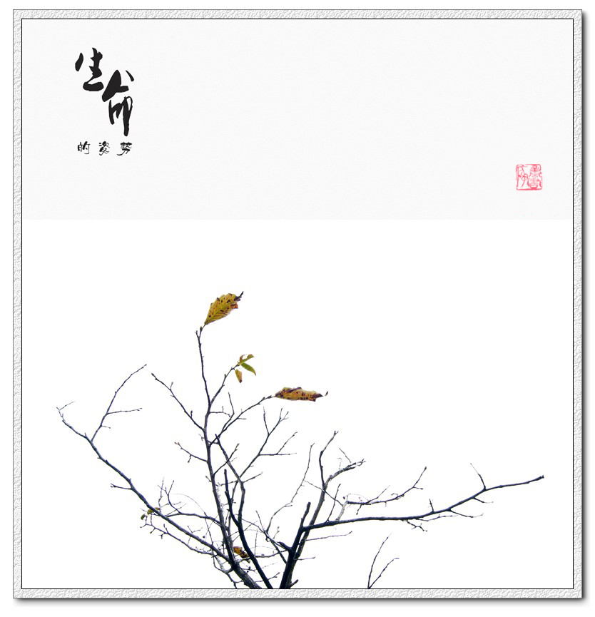 生命的姿势493 / 作者:195 / 帖子ID:20837