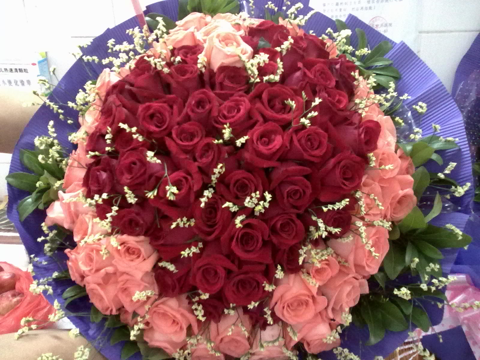 羡慕嫉妒啊，某个妹子你就幸福吧972 / 作者:彼岸行走的花 / 帖子ID:20902