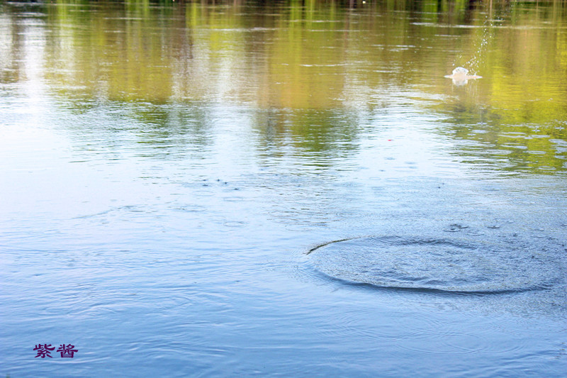 你会打“水漂”么？533 / 作者:小紫 / 帖子ID:20916