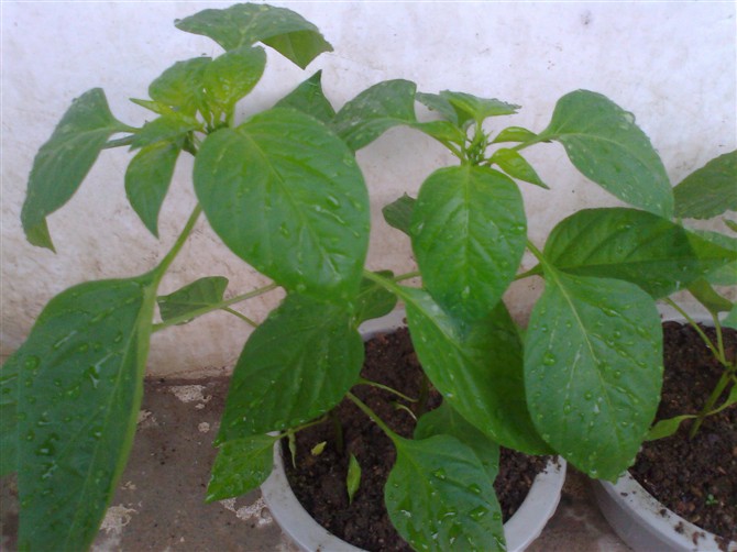 随拍989 / 作者:乐乐 / 帖子ID:20926