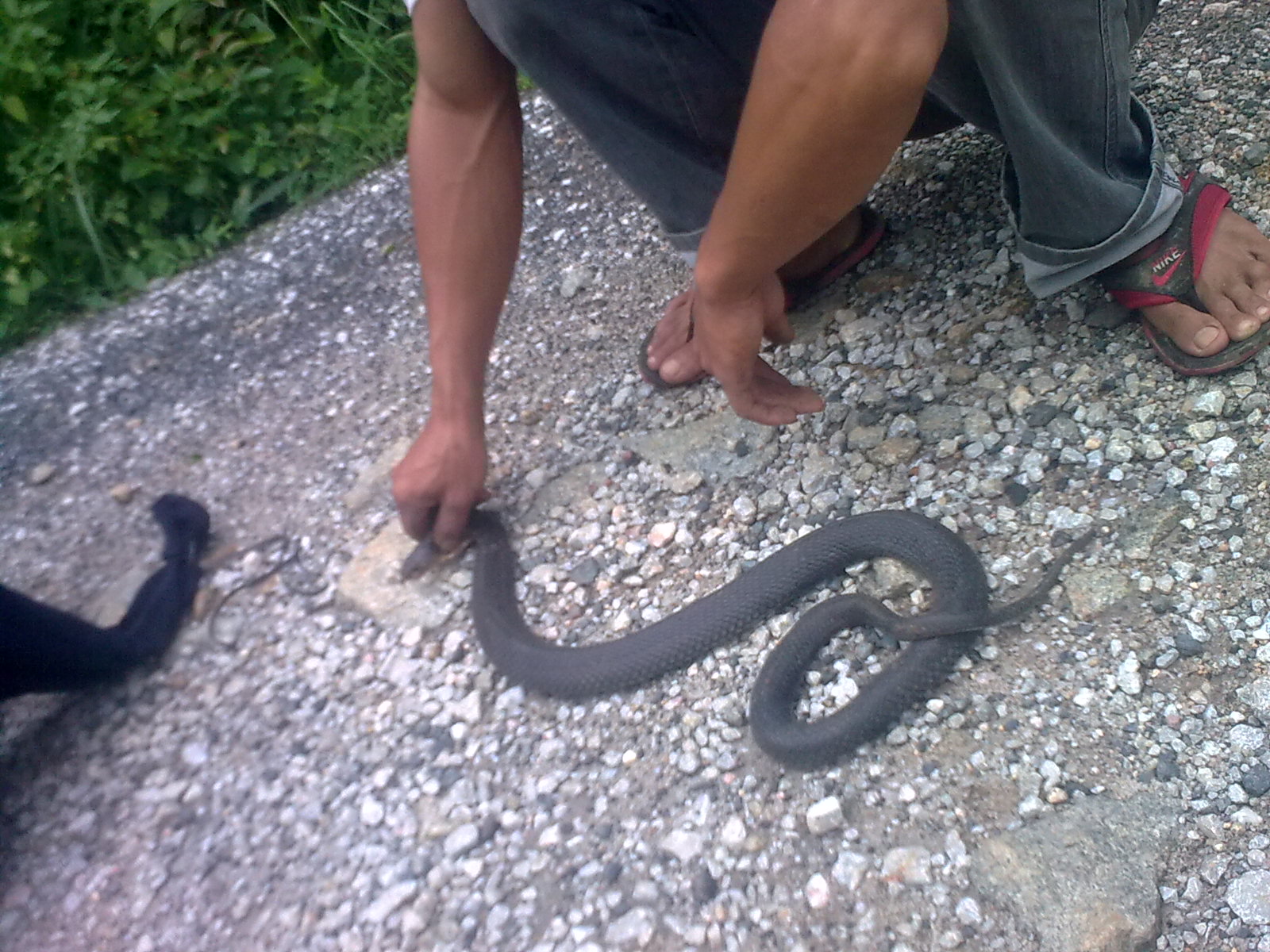 半路遇见的吹风仔944 / 作者:极速6688 / 帖子ID:20999