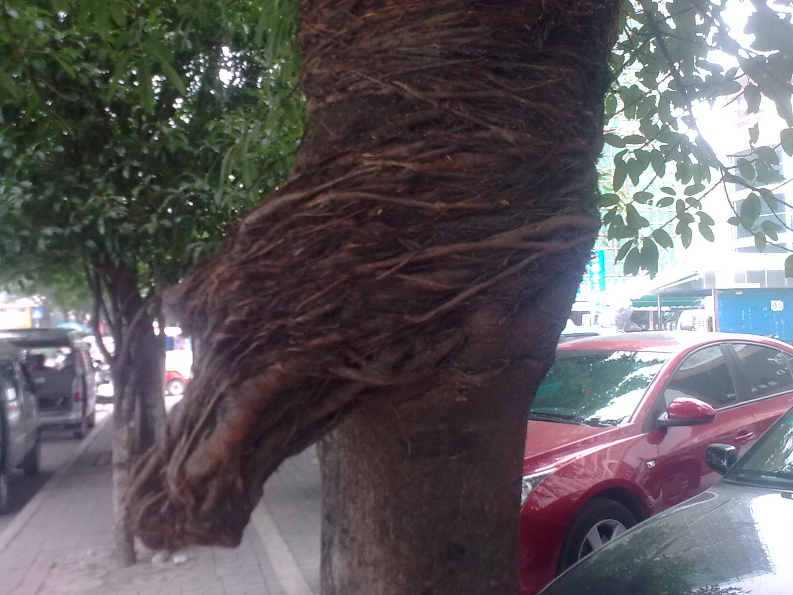 角度+想象799 / 作者:谁家小猪 / 帖子ID:21002