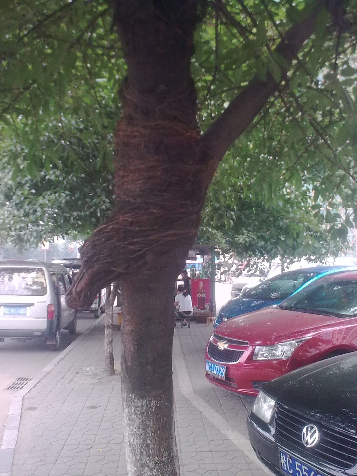 角度+想象651 / 作者:谁家小猪 / 帖子ID:21002