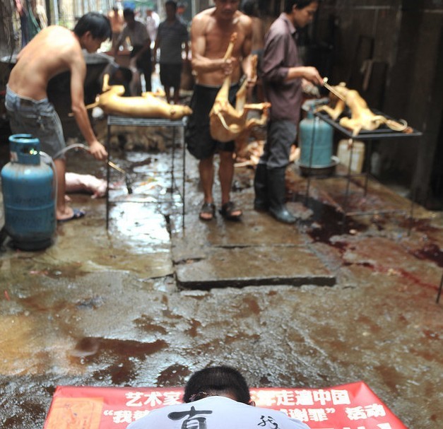 广西玉林男子在狗肉市场下跪谢罪650 / 作者:小锋 / 帖子ID:21039