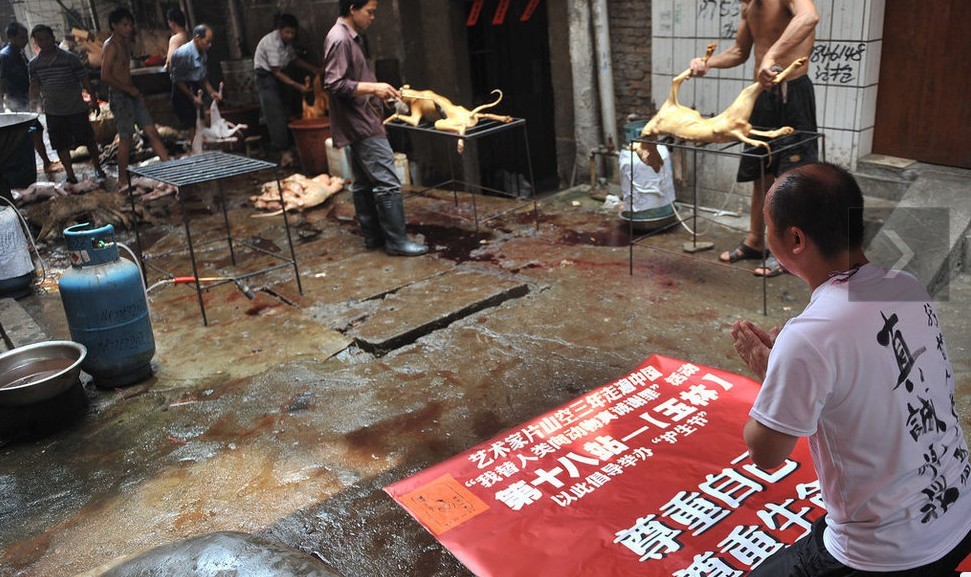 广西玉林男子在狗肉市场下跪谢罪963 / 作者:小锋 / 帖子ID:21039