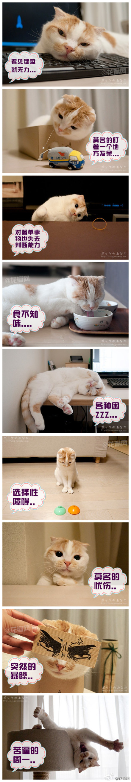 周一综合症，看看你中了几个213 / 作者:若西 / 帖子ID:21069