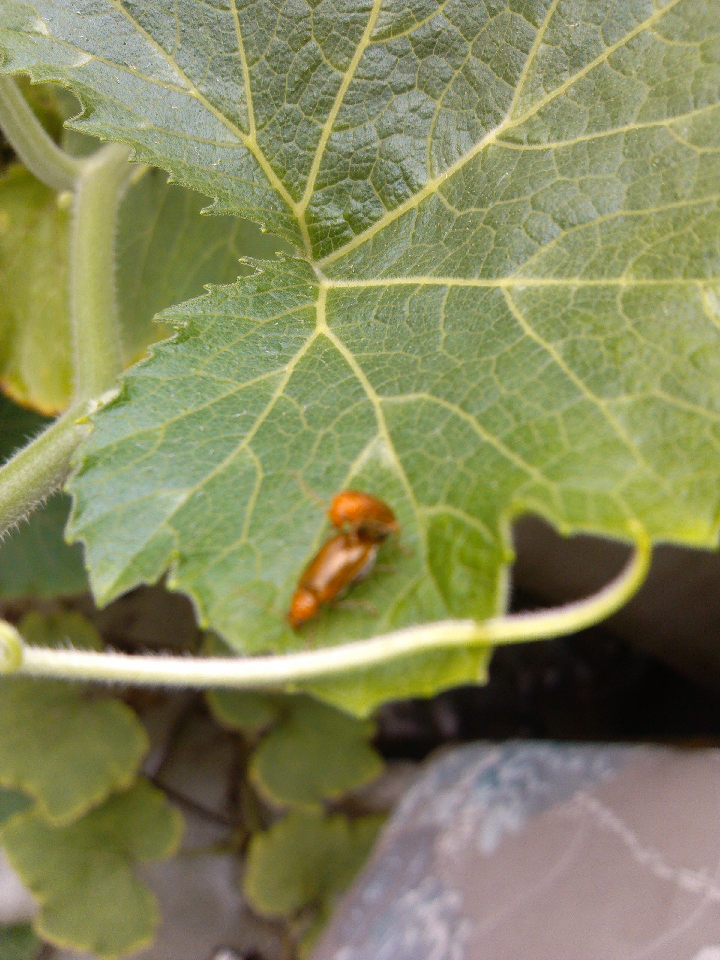 多角度拍摄性爱现场！！409 / 作者:美特斯邦威 / 帖子ID:21148