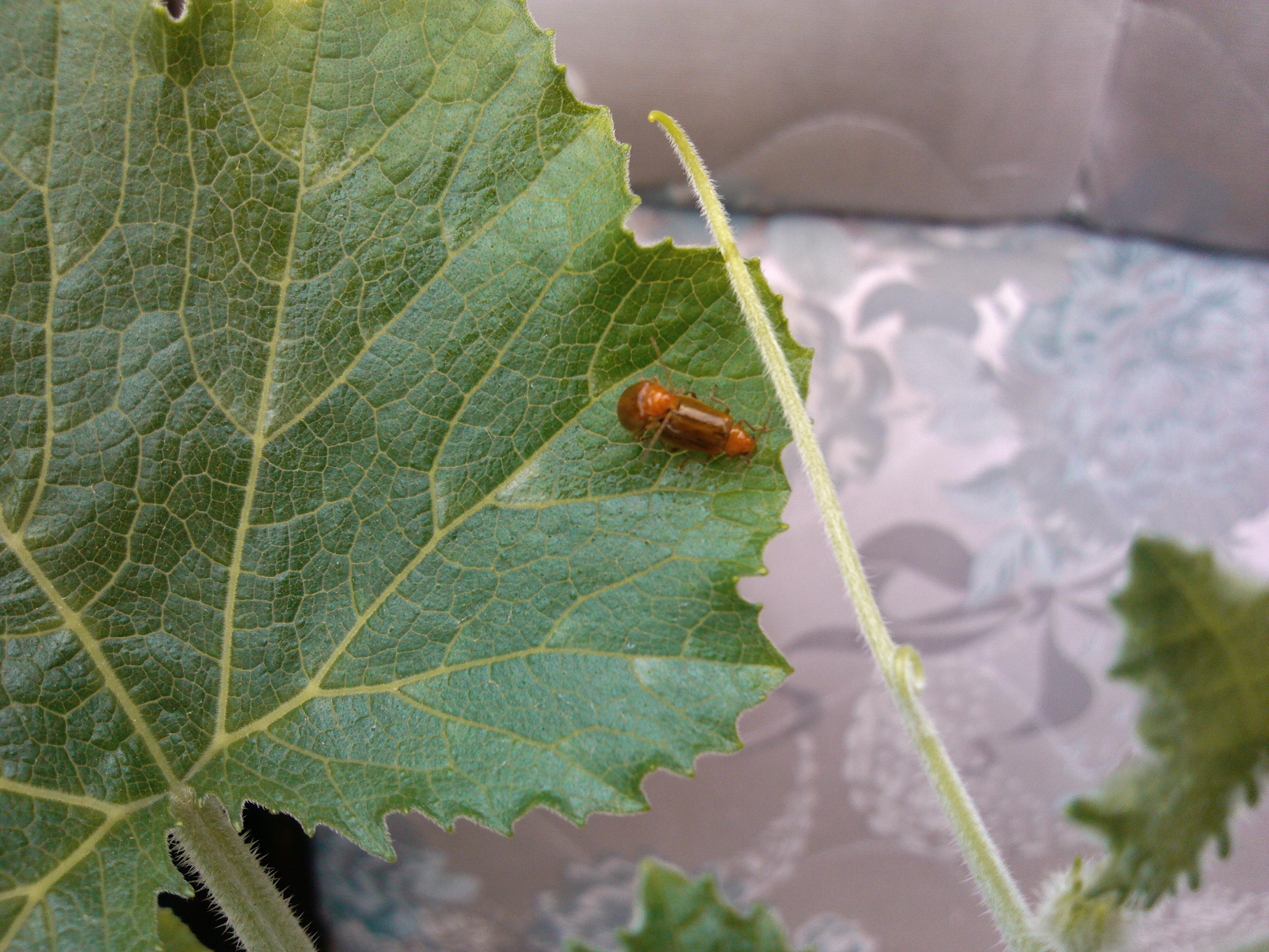 多角度拍摄性爱现场！！415 / 作者:美特斯邦威 / 帖子ID:21148