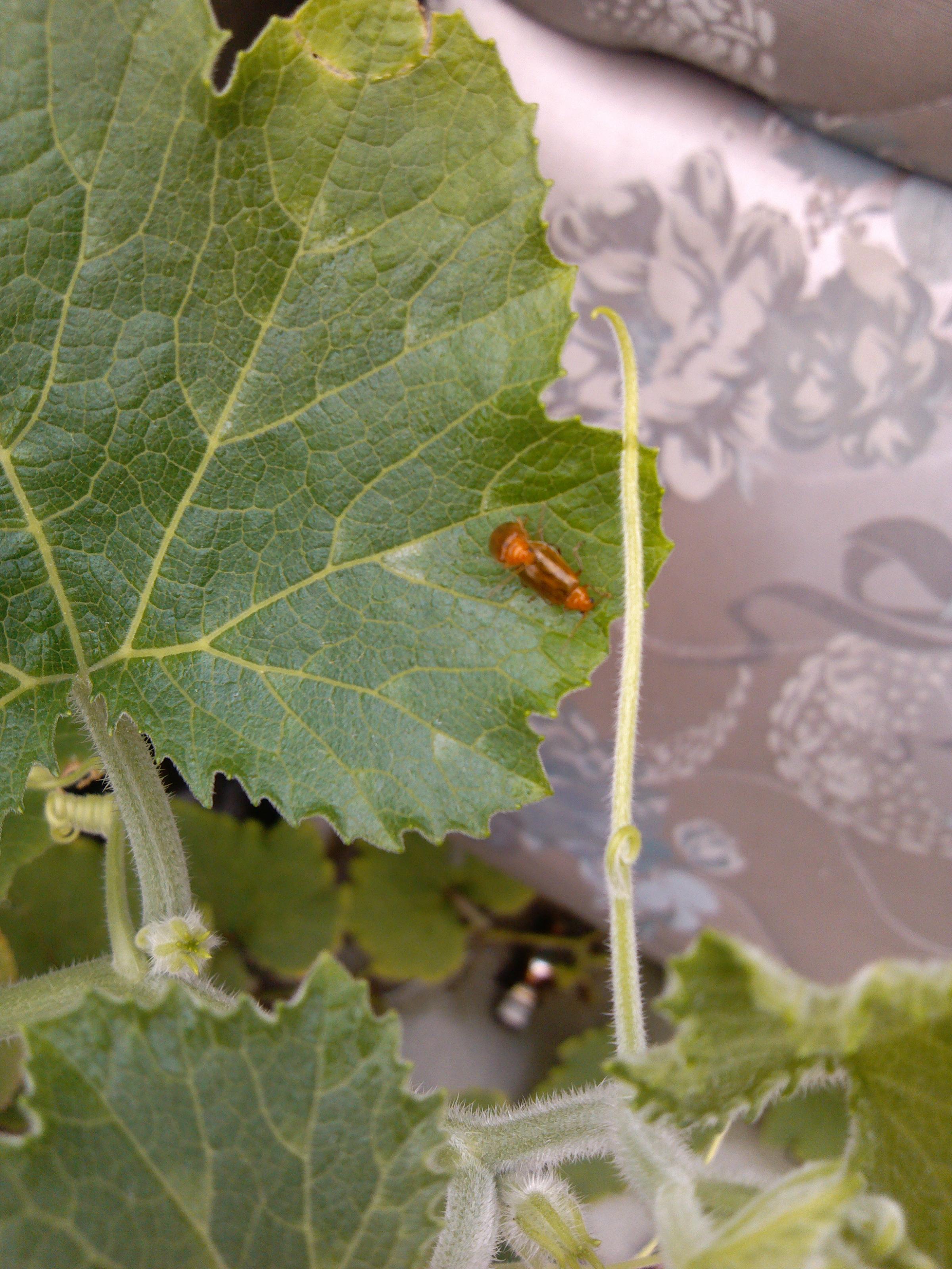 多角度拍摄性爱现场！！549 / 作者:美特斯邦威 / 帖子ID:21148