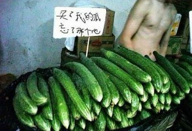 买了我的瓜 忘了哪个他639 / 作者:罗少爷 / 帖子ID:21352