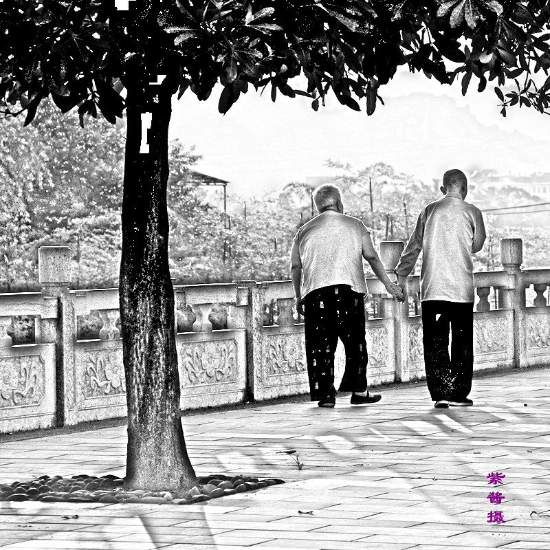喜欢音乐和喜欢摄影的好处131 / 作者:小紫 / 帖子ID:21495